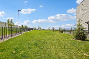 Dog park